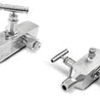 SGRV Gauge Root Valves